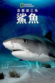 百慕大三角：鯊魚 迅雷下载
