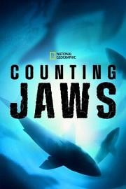 数数大白鲨 Counting Jaws