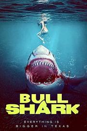 水中血 Bull Shark