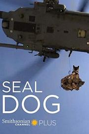 海豹突击犬 SEAL Dog