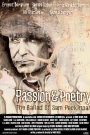 激情与诗意：萨姆·佩金帕之歌 迅雷下载