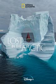 Lost In The Arctic 迅雷下载