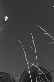 男孩与风筝 1962