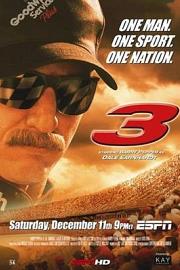 3: The Dale Earnhardt Story 2004