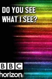 BBC 地平线系列: 你看到我所见了么 2011