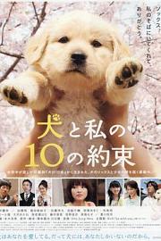 狗狗与我的十个约定 (2008) 下载