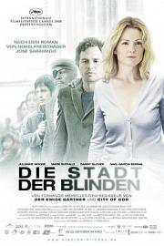 盲流感 (2008) 下载