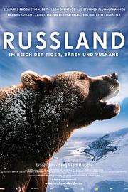 俄罗斯——在老虎，熊和火山之间 (2011) 下载