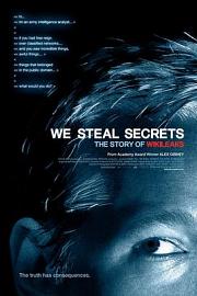 我们窃取秘密：维基解密的故事 (2013) 下载