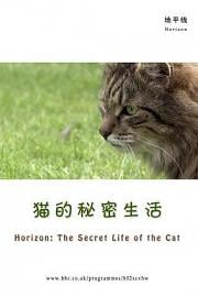 猫的秘密生活 (2013) 下载