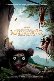 马达加斯加：狐猴之岛 迅雷下载