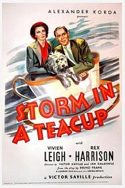 茶杯里的风暴 (1937) 下载