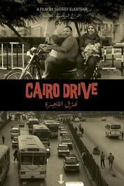驶在开罗 (2013) 下载