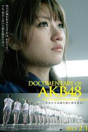 AKB48心程纪实3：少女眼泪的背后 (2013) 下载