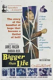 高于生活 (1956) 下载