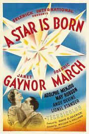 一个明星的诞生 (1937) 下载