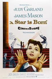 一个明星的诞生 (1954) 下载