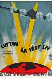 空中堡垒 (1943) 下载