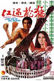猛龙过江 (1972) 下载