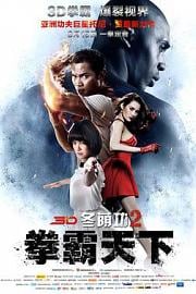 冬荫功2：拳霸天下 (2013) 下载