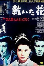 干花 (1964) 下载