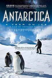 南极洲：冰上的一年 (2013) 下载