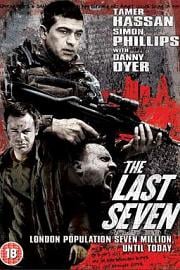 最后的七个 (2010) 下载