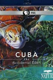 古巴：意外的伊甸园 迅雷下载