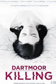 Dartmoor Killing (2015) 下载
