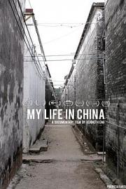 我在中国的生活 (2014) 下载