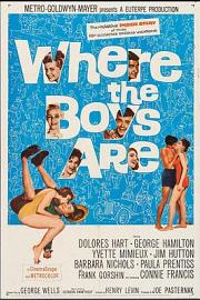 男孩们在哪里 (1960) 下载