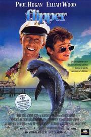 海豚的故事 (1996) 下载