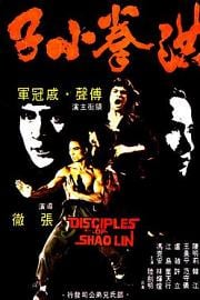 洪拳小子 (1975) 下载