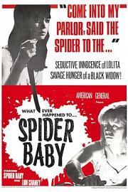 蜘蛛宝宝，或你所听说过最疯狂的故事 (1968) 下载