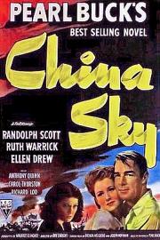 中国的天空 (1945) 下载