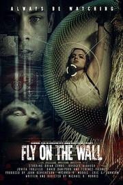 Fly on the Wall (2017) 下载