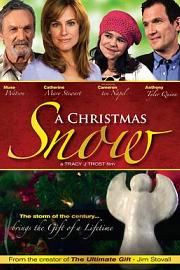 圣诞的雪 (2010) 下载