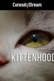 Kittenhood (2015) 下载
