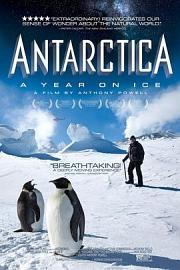 南极洲 (1991) 下载