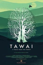 Tawai: A voice from the forest 迅雷下载