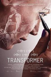 Transformer (2017) 下载