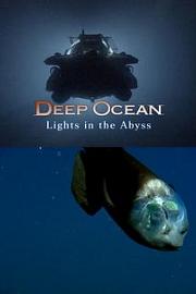 深海：深渊之光 迅雷下载