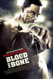 血与骨 (2009) 下载