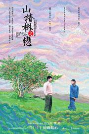 山楂树之恋 (2010) 下载