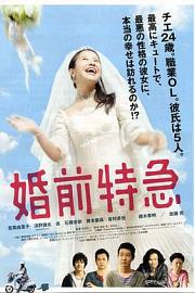 婚前特急 (2011) 下载