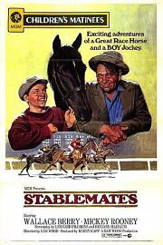 Stablemates (1938) 下载