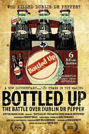 瓶装啤酒：都柏林博士之战 2013