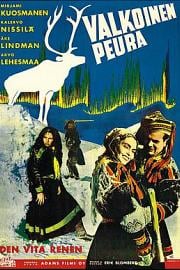 白色驯鹿 (1952) 下载