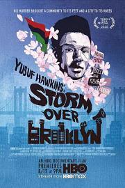布鲁克林风暴 Storm Over Brooklyn 2020
