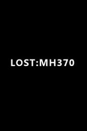 失踪：MH370 2014